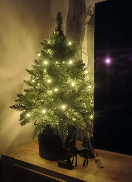 Galina, Pardubice Galina, Pardubice