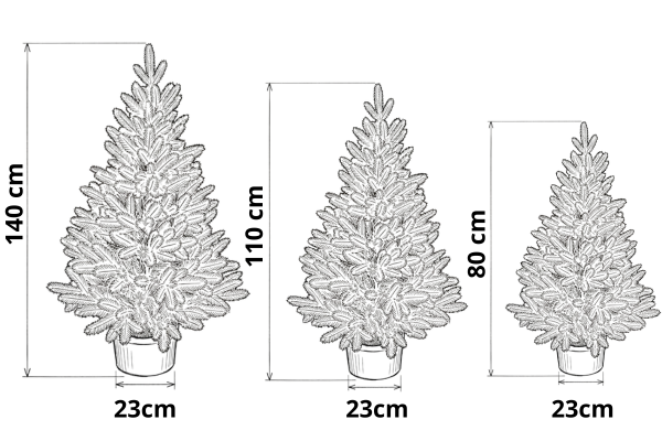 Rozměry vánočních stromků v květináčích Alpine