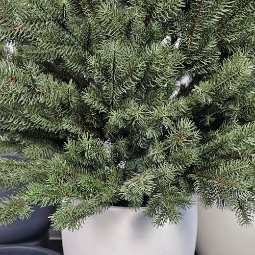 Jehličky umělého vánočního stromku Royal