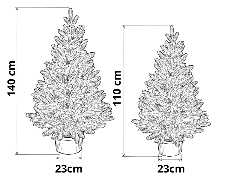 Rozměry vánočních stromků