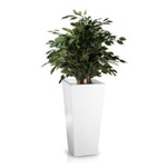 Vysoký obdélníkový květináč ze skelného vlákna Slim H 67 x 31 x 31 cm, bílý