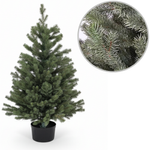 Umělý vánoční stromek v květináči Smrk Royal 80 cm LIMITED 100% PE